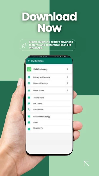 FM WhatsApp screenshot 2